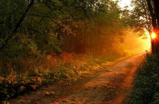 Аями, духи, помощь духов,великий шаман,шаман учитель,духи указывают путь,сибирский шаманизм,алтайские шаманы,помощь шамана,совет шамана