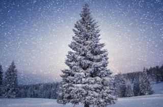 Новый год 2016, как встретить новый год, как отпраздновать новый год,шаманский новый год,где шаманы отмечают новый год,белая шаманка, помощь шаманки,советы шамана