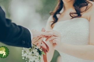 семейные отношения